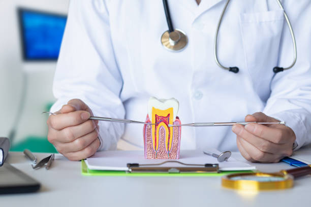 Best Emergency Wisdom Teeth Removal in Fulton, IL